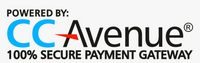 Secure payment gateway